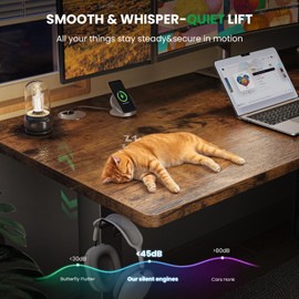 Loniko Compact Electric Standing Desk 48 x 24 Inch – Height Adjustable Sit Stand Computer Table for Home Office, Ergonomic Workstation with Cable Management and Memory Presets