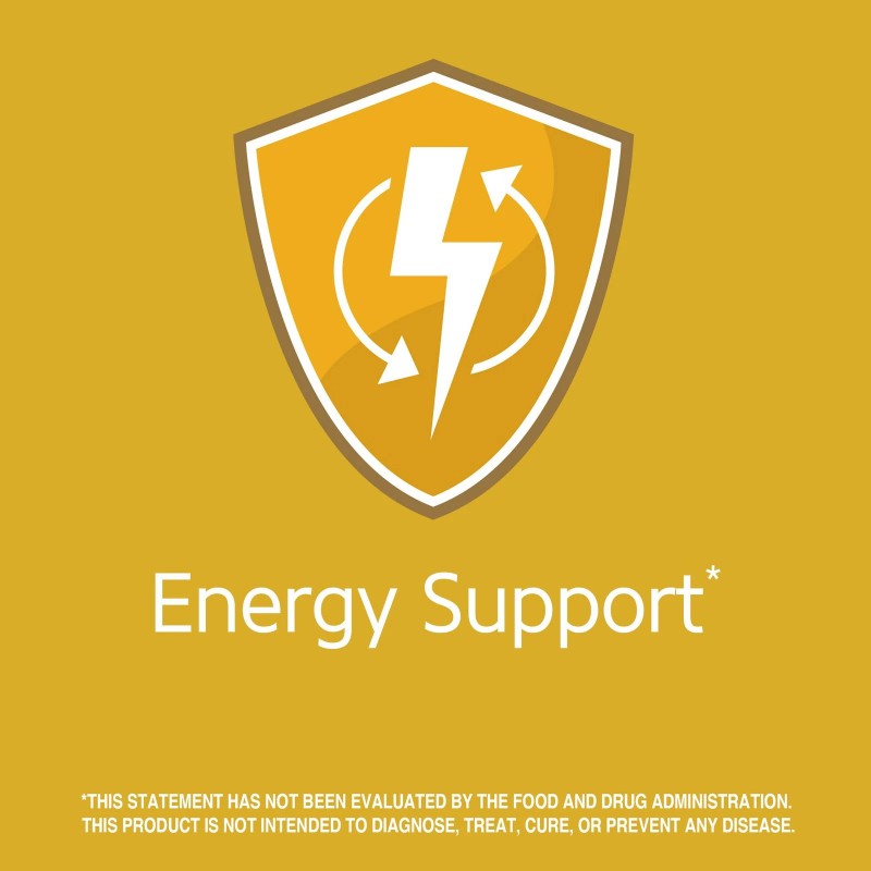 Hi Potency Sublingual Vitamin B12 5000 mcg 110 Count Wheat