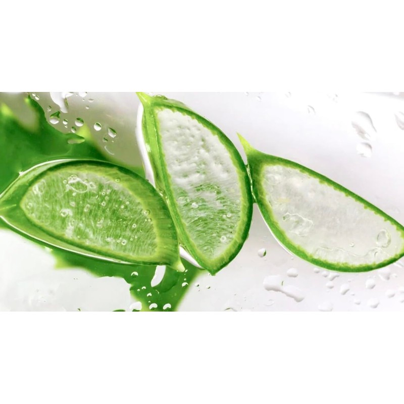Dermasil Aloe Fresh Moisturizing Body Lotion