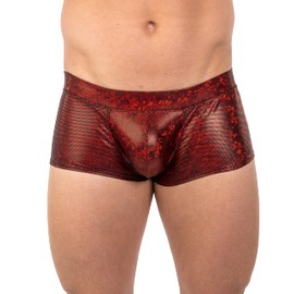 Gary Majdell Sport Mens New Printed Hot Body Boxer Swimsuit (Red Hologram, Large)