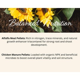 Root n' Rise Fertilizer and Soil Conditioner Pellets, 3-2-2 NPK,4lbs Dual-Action Chicken Manure and Alfalfa Meal Blend.