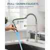 FORIOUS LED Kitchen Faucet with Soap Dispenser, Brushed Nickel Stainless