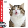 Cat Car Window Decals Funny 3D Weatherproof Decals (Cat Lick)
