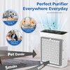 LINNIW TZ-K2 Replacement Filter Compatible with ToLife Air Purifier TZ-K2,
