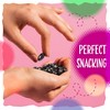 Black Licorice Jelly Beans Candy | 3-Pound Bag | Old-Fashioned