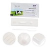 3 Pcs Pregnant Tester Horse Pregnancy Test Strip Livestock Pregnant