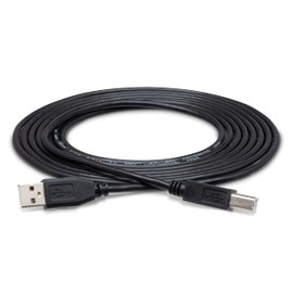 Hosa Technology A- B Box, 10 Feet (USB-210AB)