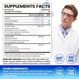 duwhot St John's Wort Gummies 600mg, 3 in 1 Organic Herbal Supplements for Stress Relief, Nervous System Support, with Ashwagandha & Holy Basil Extract for Adults & Kids, Non-GMO, Vegan, 60 ct.