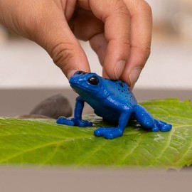 SCHLEICH 14864 Blue Poison Dart Frog Wild Life Toy Figurine for children aged 3-8 Years