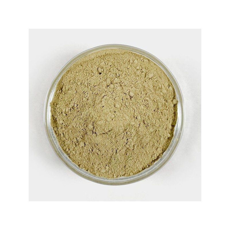 Oherb 국내산 홍합 분말 가루 파우더 250g Domestic Mussel Powder