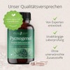 Pine Bark Extract High Dose - Original Pycnogenol - with