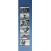 Photo Holder Photo Curtain for Hanging 6 Photos 15 x 10 cm Landscape Format Picture Frame n