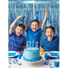 Tinsel Curtain (Blue)