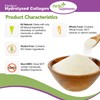 Perfect Supplements Perfect Supplements C Perfect Hydrolyzed Collagen Powder C