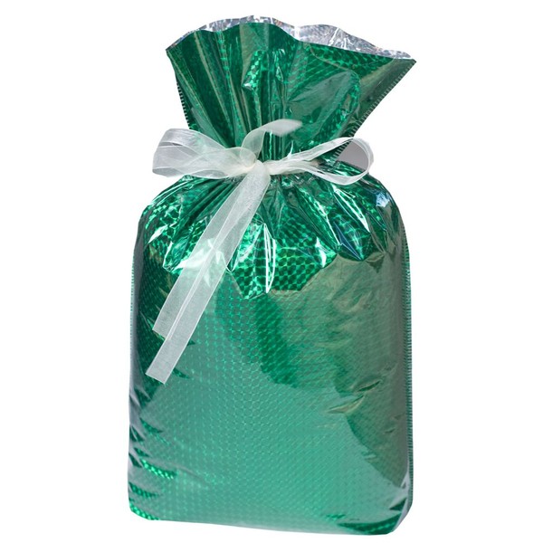 Gift Mate 21082-6 6-Piece Drawstring Gift Bags, Medium, Diamond Green