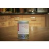 aerolatte Shaker / Dredger, Silver
