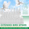 3 BUZZLETT 36 Pack Upgraded Clear PVC Bird Spikes, Keep