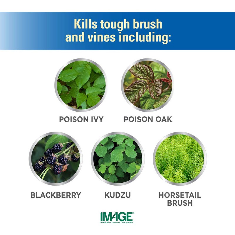 Image Brush & Vine Killer Concentrate, 32 oz
