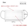 100 Count Boxed Triple Layer Mask Non-Woven Nose Wire Disposable