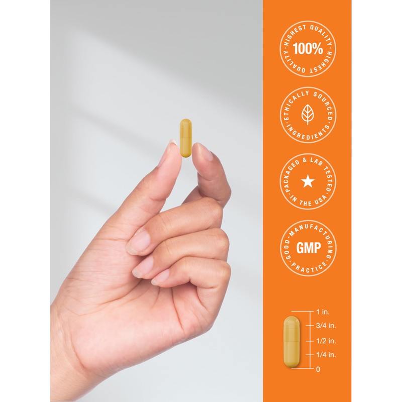 Horbäach B-100 Complex Vitamin | 60 Capsules | Non-GMO and