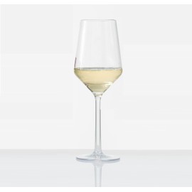 Fortessa D&V Sole Copolyester Outdoor Drinkware Sauvignon Blanc Glass, Set of 6
