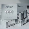 From the Nail Silver Magnetic Gel Single Item FG215 /