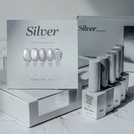 From the Nail Silver Magnetic Gel Single Item FG215 / 프롬더네일 실버 자석젤 단품 FG215