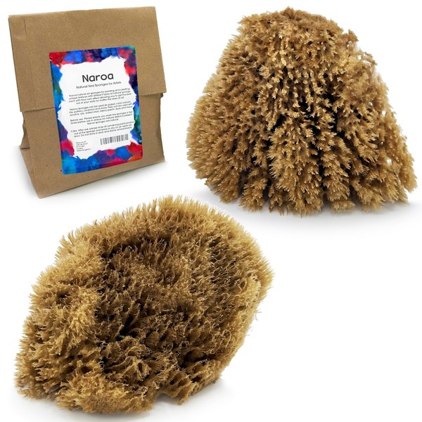NAROA Natural Artist Sea Sponges for Painting | Large Art