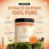 Commons - Hongo Cordyceps 120 Cápsulas - Máxima Pureza 100%