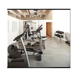 Delma Home Gym Mirror, 54''x30''x2PCS, Large Full Body Mirror for Gym Yoga, Glass Frameless Mirror for Wall Mounted, Wall Mirror for Home Gym, Garage, Bedroom, Bathroom (Glass - 54'' x 30'' - 2PCS)