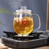 IwaiLoft IL-G1968 Handmade Heat Resistant Glass Tea Pot with Tea