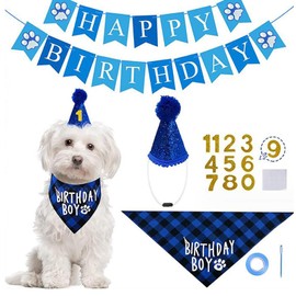 GOODCHI Dog Birthday Hat, Pet Birthday Decoration, Dog, Cat, Birthday Hat, Bandana, Banner, Pet Goods, Stylish, Birthday, Anniversary, Party Decoration