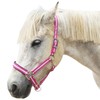 Adjustable Horse Headcollar, Training Halter, Heavy Duty Nylon Padded with