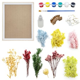 Woohome Zen Garden Accessories, Micro Landscape DIY Painting with Rectangle Painting Frame, Moss, Garden Kit for Home Decor, Photo Frame Decoration, River