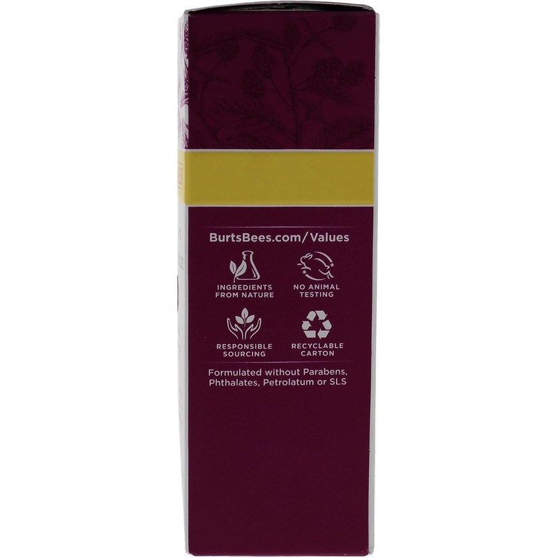 Burt's Bees Renewal Intensive Firming Serum, 1.1 Ounce Bottle