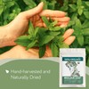 Super Value Pack 5 LB - Organic Mullein Leaf Tea