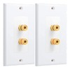 jingfei Single 1.0 Speaker Wire Wall Plate (Banana Plug Wall