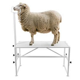 HECASA 51"x23" Sheep Livestock Trimming Stand Shearing Milking Stand Adjustable Height w/Headpiece 500lbs Capacity