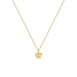 Elli Women's Frangipani Flower Summer Holiday Necklace in 925 Sterling Silver, None