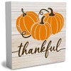 Rustic Thanksgiving Wooden Box Sign Pumpkin Fall Cute Sign Thankful