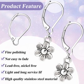 Alpinleux 30 Pcs Leverback Earring Hooks, Stainless Steel Clasp Hoop, Hypoallergenic Dangles Earring Hooks, French Ear Wire Findings for Women, DIY Crafts, Jewelry Making (Silver)