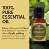 Bergamot Essential Oil for Diffuser Aromatherapy – Best of Nature