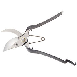 Koshiji Uchimono pruning end type B-3