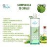 3 Shampoo Cola De Caballo Crecimiento/ Cabello Largo +regalo