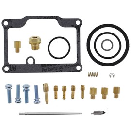All Balls Racing 26-1891 Carburetor Rebuild Kit Compatible with/Replacement for Arctic Cat Jag 440 1993-1995, Jag Deluxe 1993-1996, Jag FC/2 1995 1996, Panther 370 1999-2008