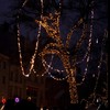 Mudder 200 Pcs 3.5 Volt Mini Christmas Tree Replacement Bulbs
