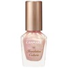 Canmake Foundation Colors, 10 Shell Pink, 0.3 fl oz (8