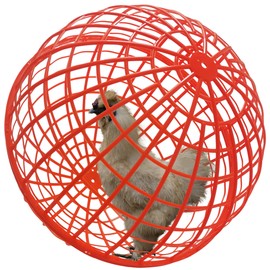 CalorMixs Rollable Circular Chicken Cage,Outdoor Pet Safety Coop,Plastics Poultry Cage House,Backyard Farms Courtyard Use,Secure Walking Coop Rabbits Chicks Ducks Ball Cage Prevents Dog Bites