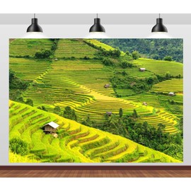 CORFOTO 7x5ft Fabric Green Rice Terraces Backdrop Vietnam Terraced Rice Field Nature Landscape Photography Background Countryside Scenery Background Nature Rural Outdoor Travel Photo Studio