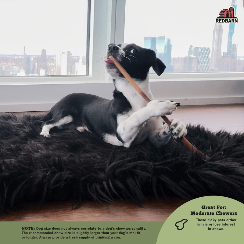 Redbarn 35 Count Bully Stick, 7"